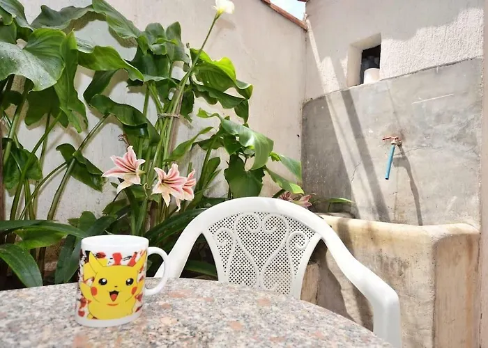 Paradise