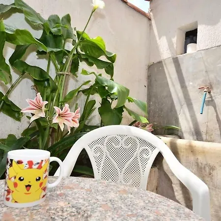 Paradise Holiday